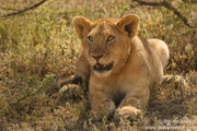 TANZANIA